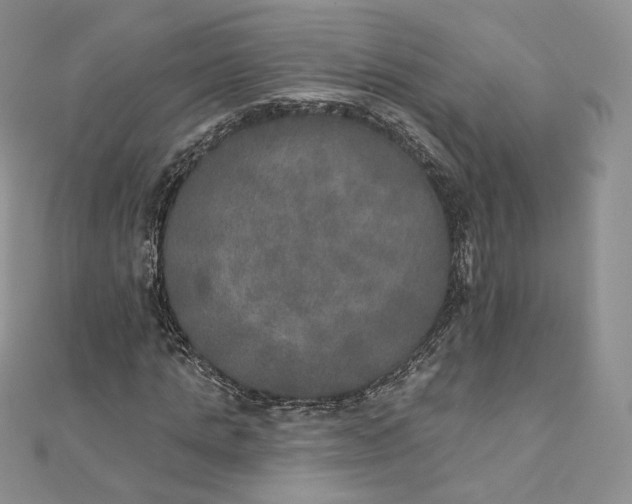 X0000111800821200908061156