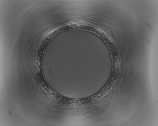 X0000111800822200908061156