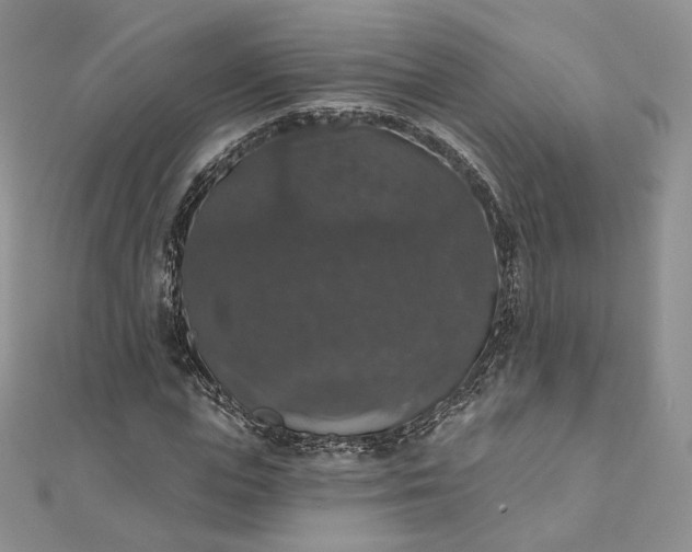 X0000111800823200908061156