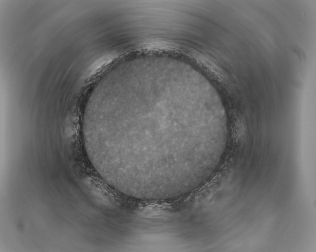 X0000111800824200908061156