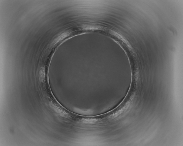 X0000111800825200908061156