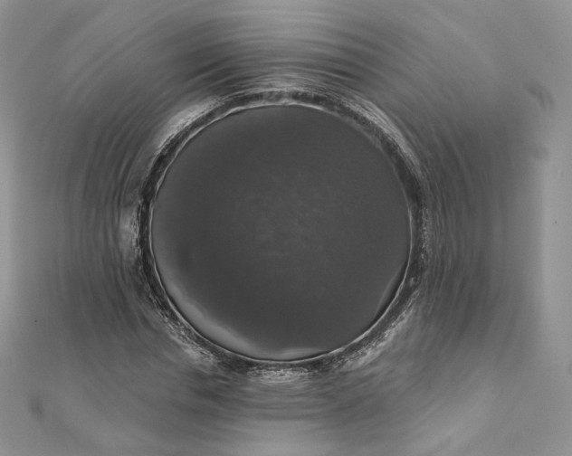 X0000111800826200908061156