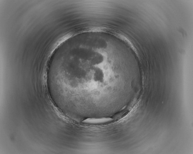 X0000111800827200908061156