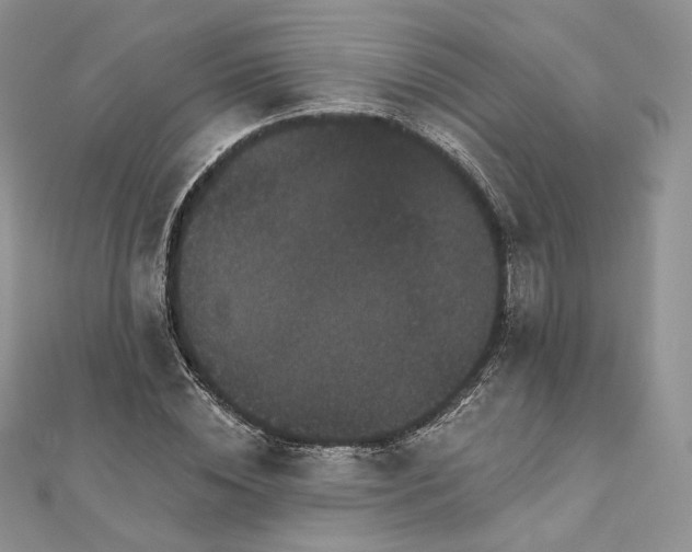 X0000111800828200908061156