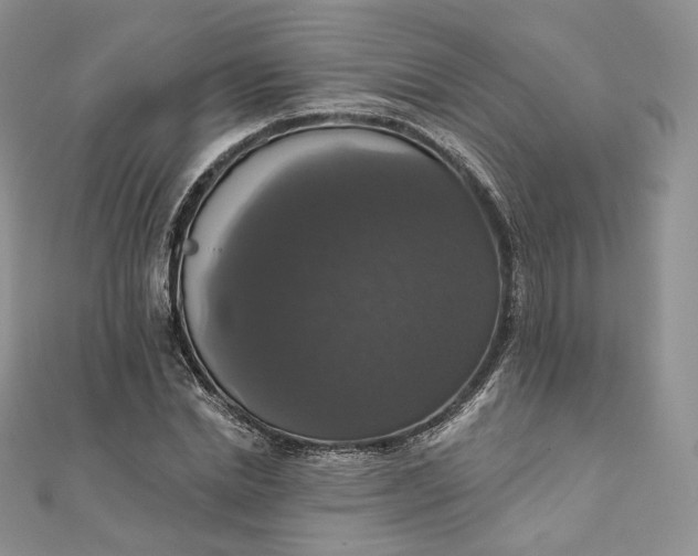 X0000111800830200908061156