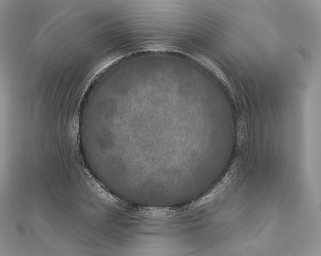 X0000111800831200908061156