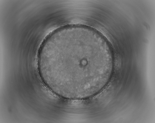 X0000111800832200908061156