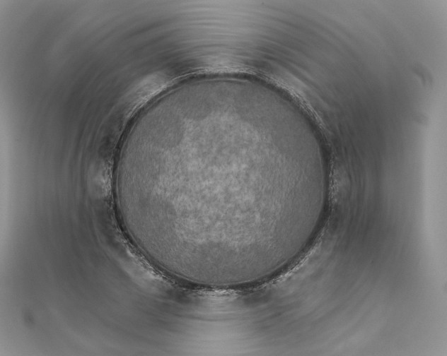 X0000111800833200908061156