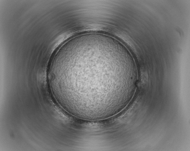 X0000111800834200908061156