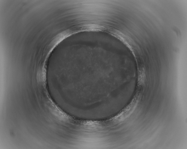 X0000111800835200908061156