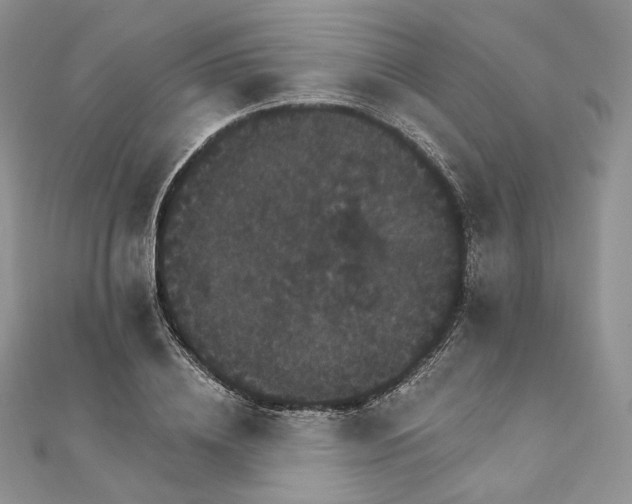 X0000111800836200908061156