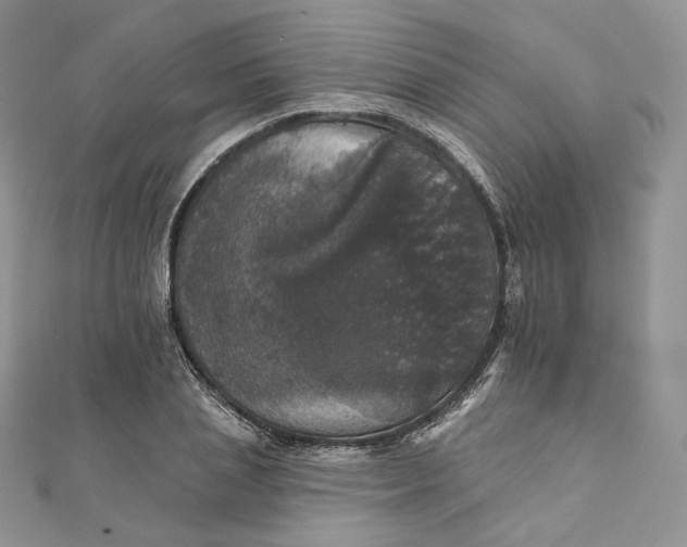 X0000111800837200908061156