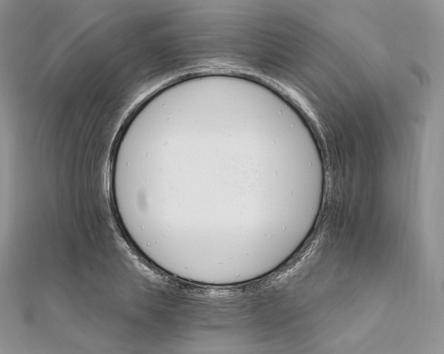 X0000111800839200908061156