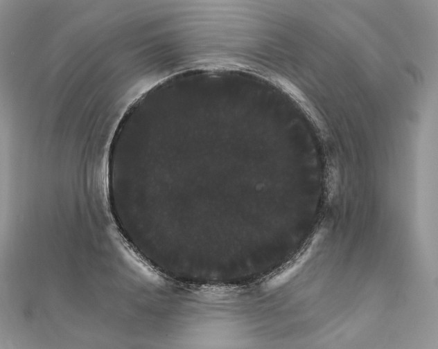 X0000111800840200908061156