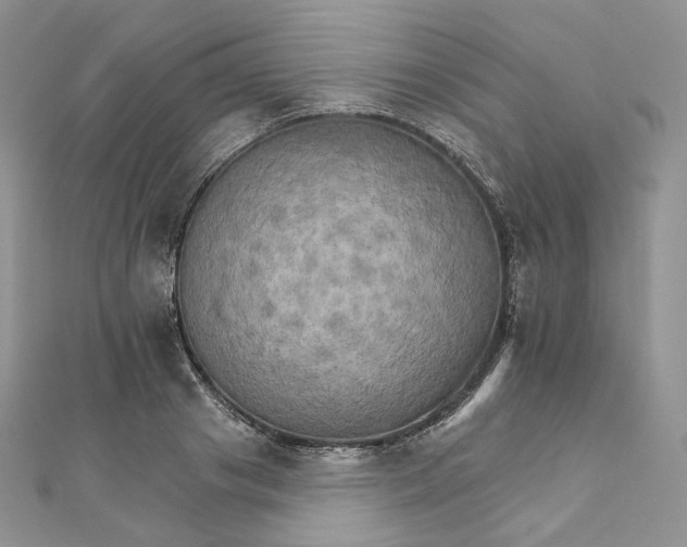 X0000111800841200908061156