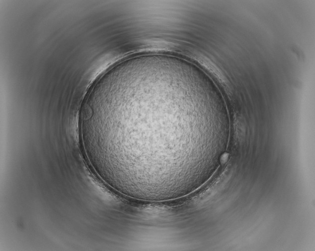 X0000111800842200908061156