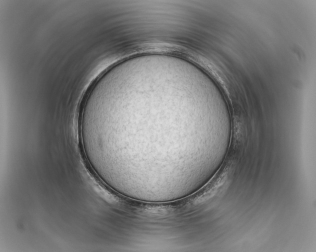 X0000111800843200908061156