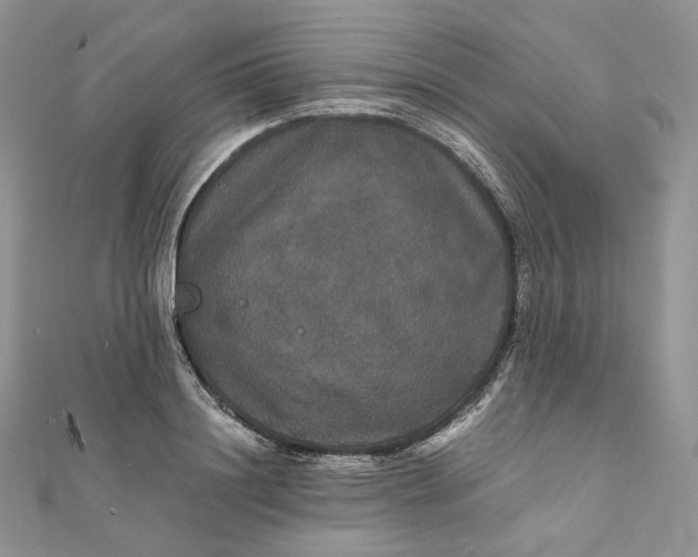 X0000111800844200908061156