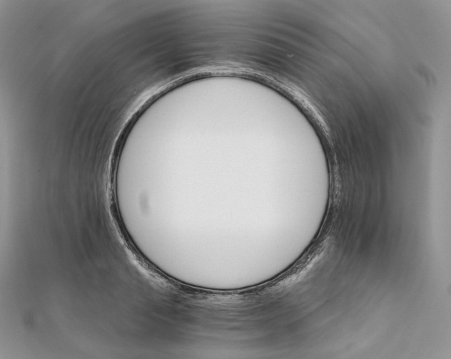 X0000111800845200908061156