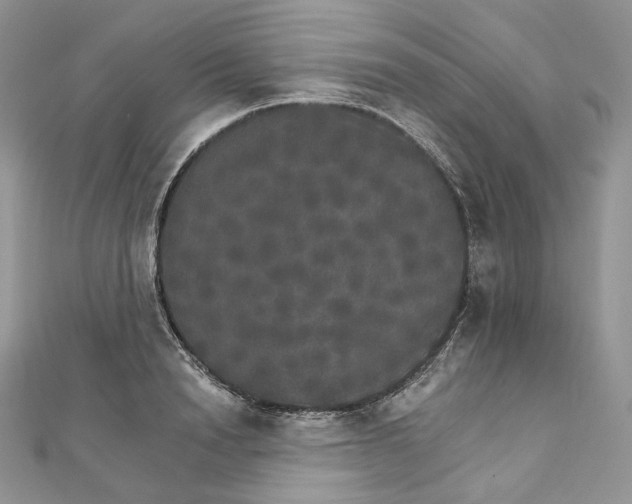 X0000111800846200908061156