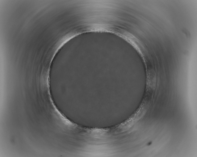 X0000111800847200908061156