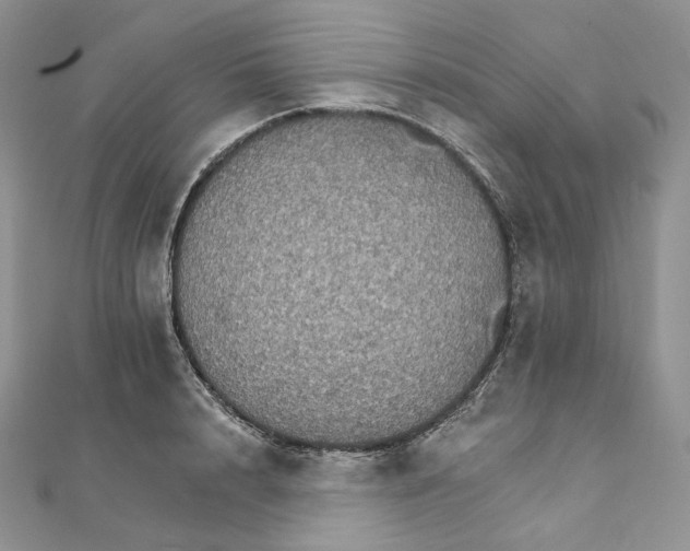 X0000111800848200908061157