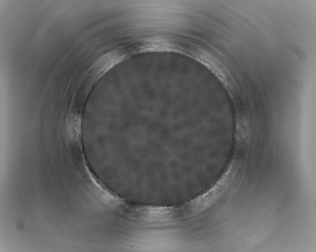 X0000111800849200908061157