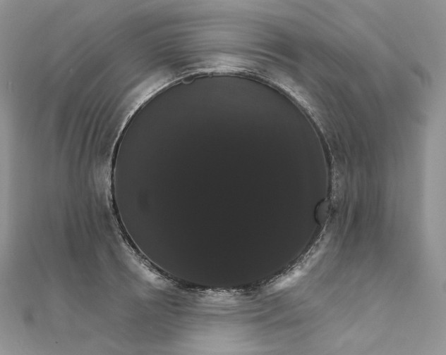 X0000111800850200908061157