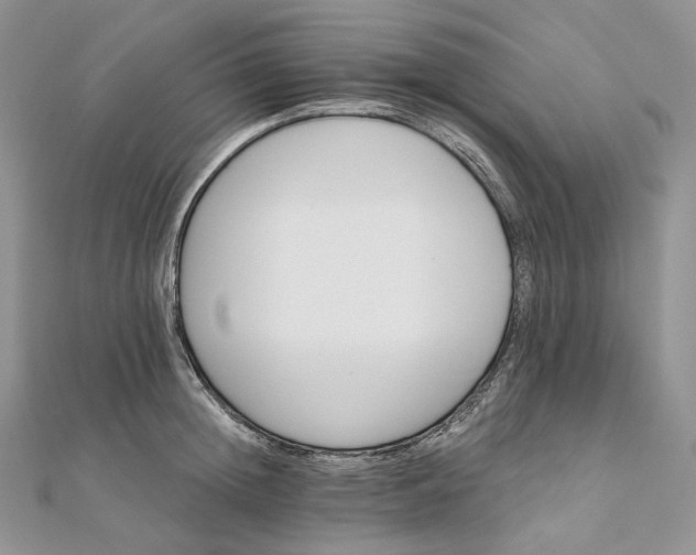 X0000111800852200908061157