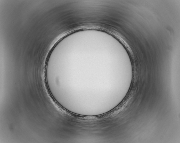 X0000111800853200908061157