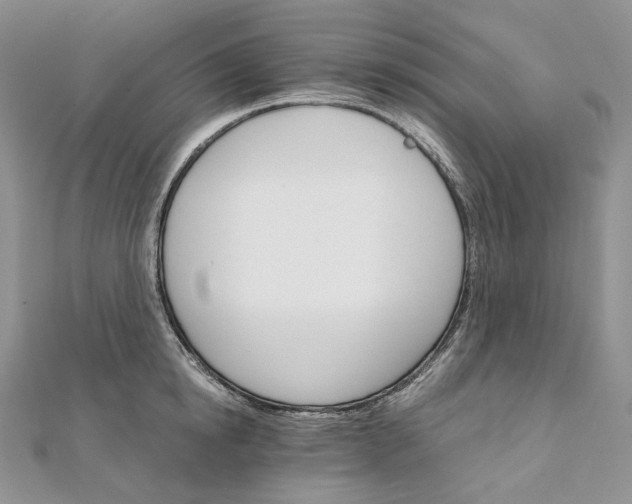 X0000111800854200908061157