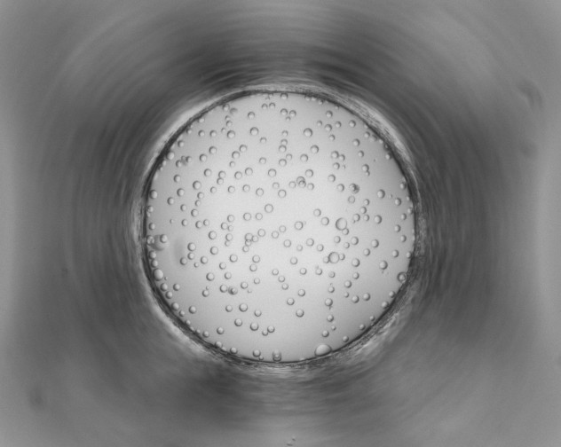 X0000111800855200908061157