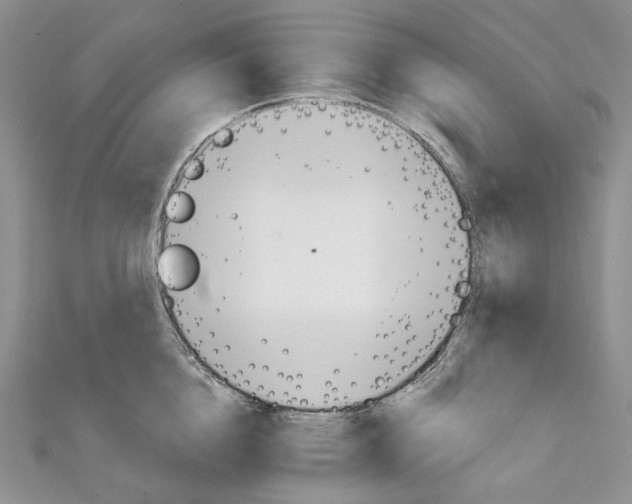 X0000111800856200908061157