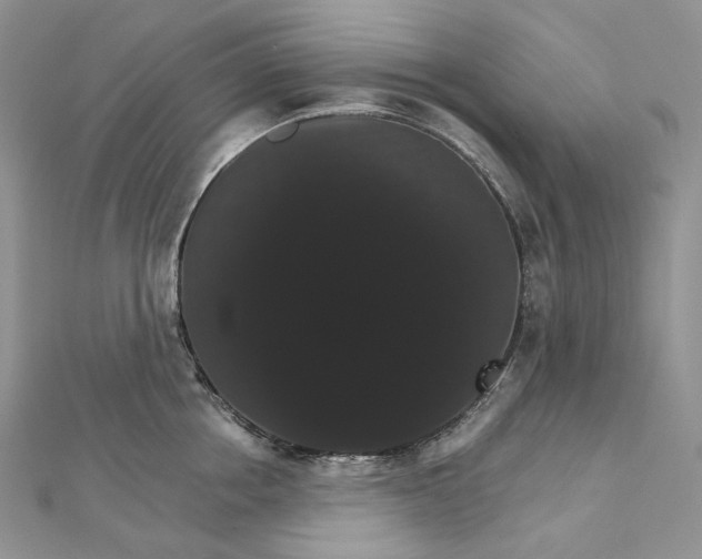 X0000111800858200908061157