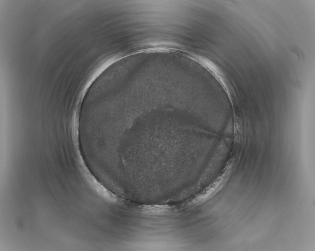 X0000111800859200908061157