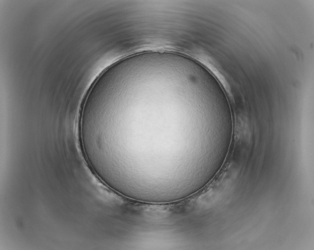 X0000111800861200908061157