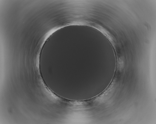 X0000111800862200908061157