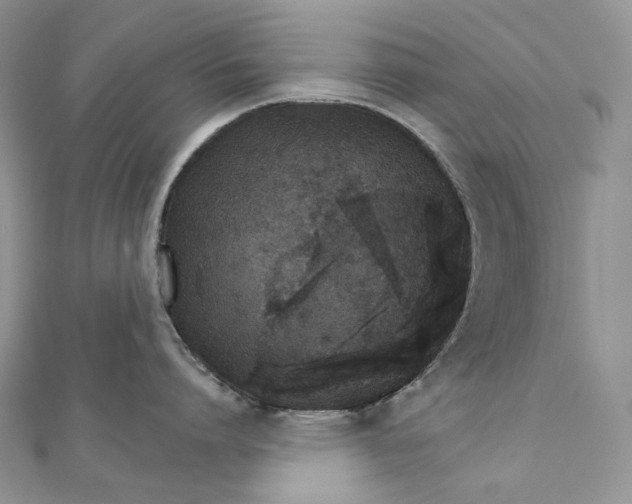 X0000111800864200908061157