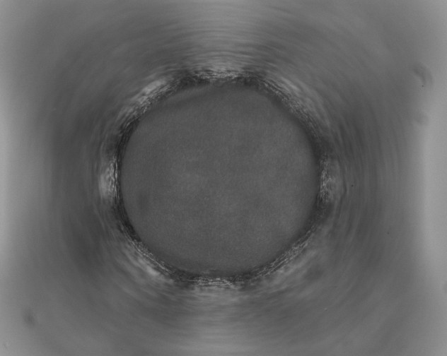 X0000111800866200908061156