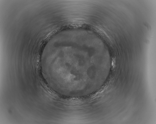 X0000111800867200908061156