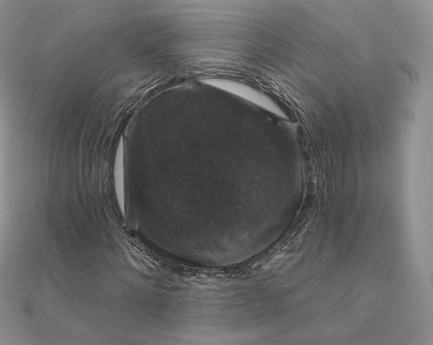 X0000111800868200908061156