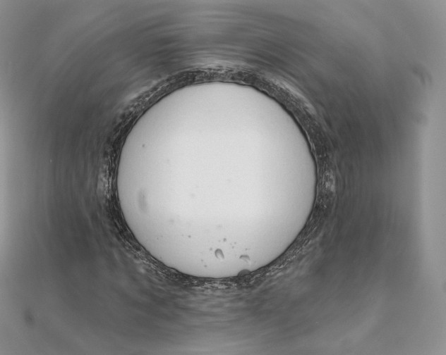 X0000111800869200908061156