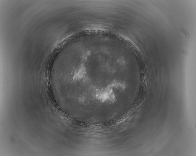 X0000111800870200908061156