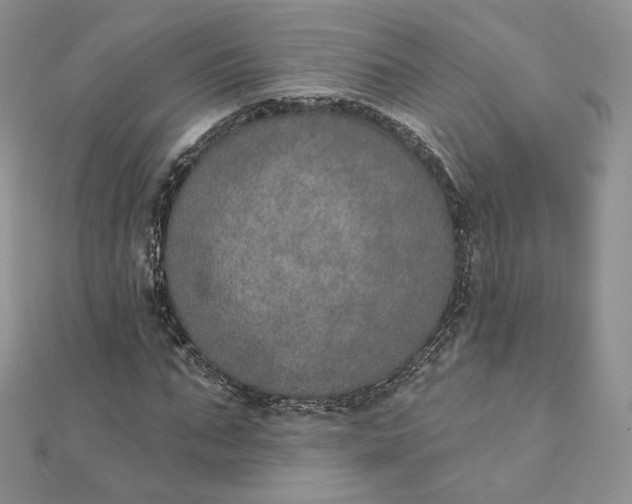 X0000111800871200908061156