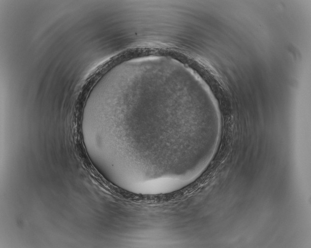 X0000111800872200908061156