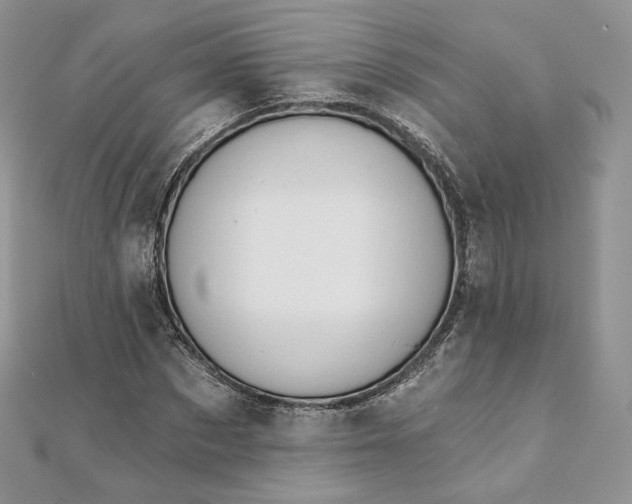 X0000111800873200908061156