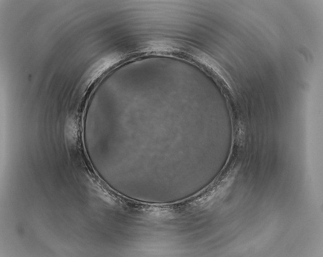 X0000111800874200908061156