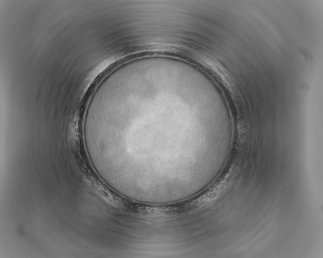 X0000111800875200908061156