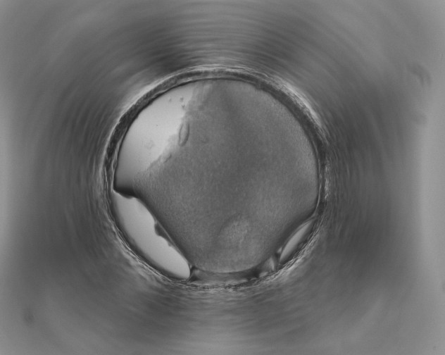 X0000111800876200908061156