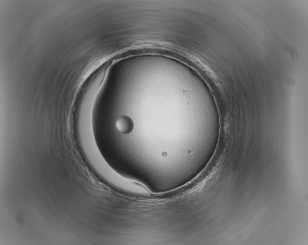 X0000111800877200908061156